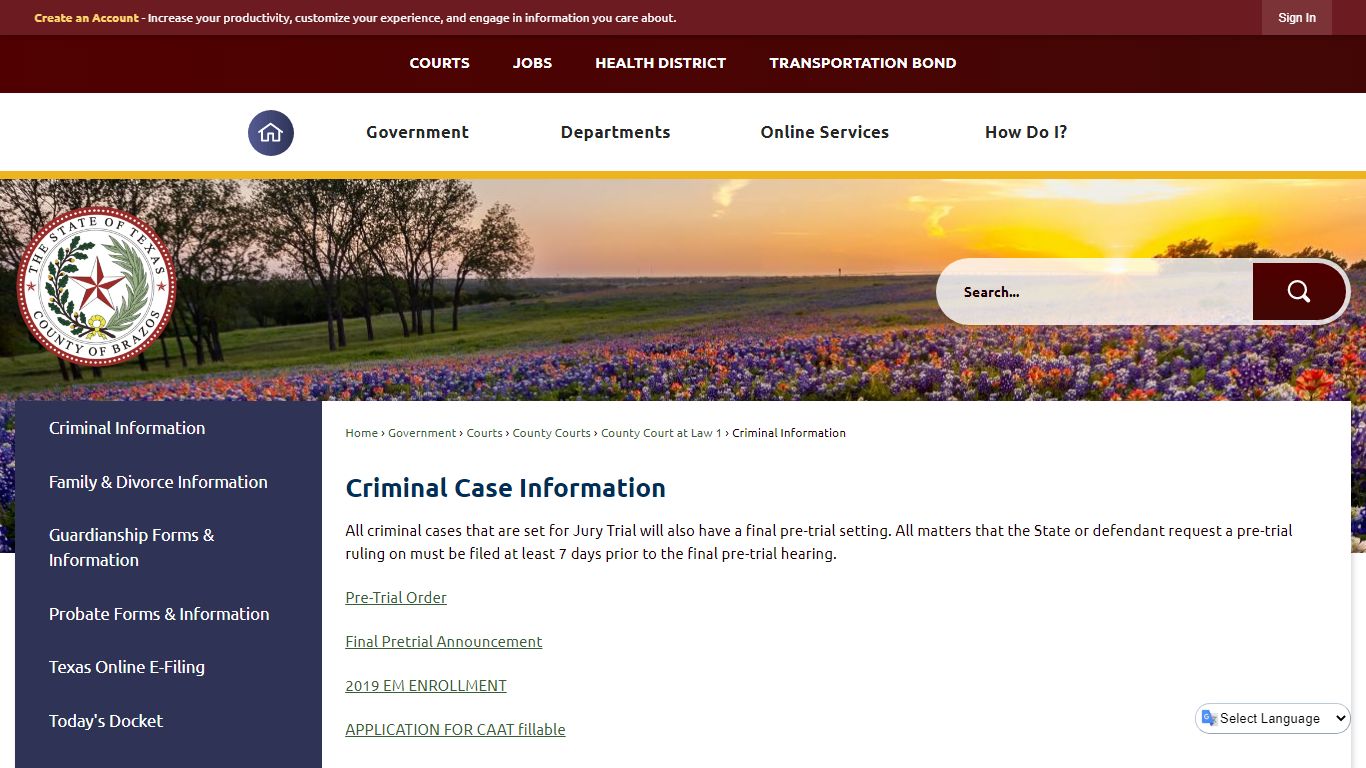 Criminal Case Information | Brazos County, TX - Official Website