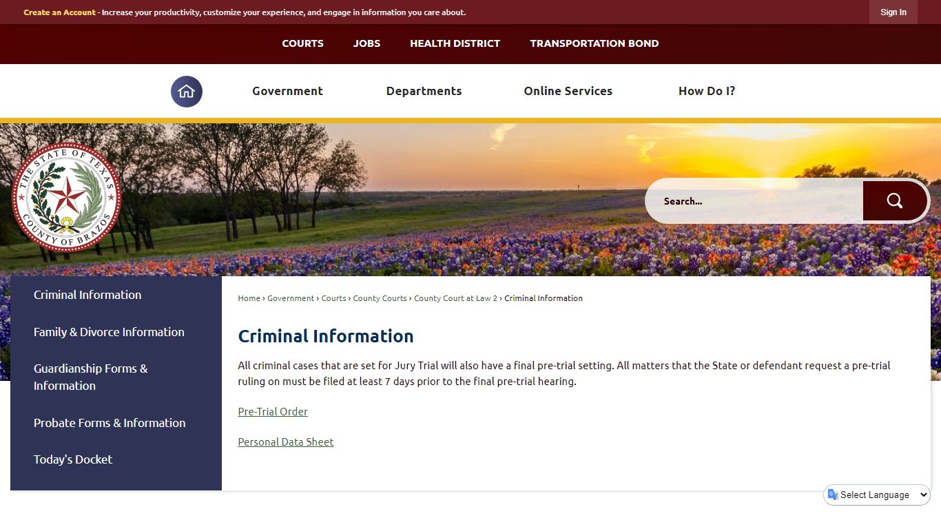 Criminal Information | Brazos County, TX - Official Website