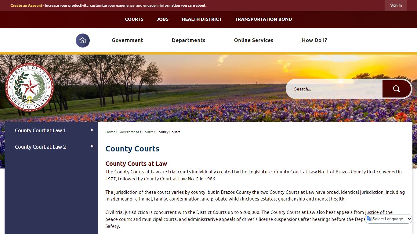 County Courts | Brazos County, TX - Official Website